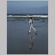 bluebeach.jpg